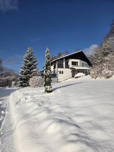 a snow covered yard with a house and a tree at Die Landhausvilla in Unterach am Attersee in Unterach am Attersee