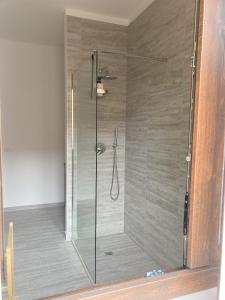 a shower with a glass door in a bathroom at Serena a due passi dal mare in Bellaria-Igea Marina