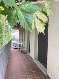a porch with a large leaf hanging from the ceiling at Serena a due passi dal mare in Bellaria-Igea Marina