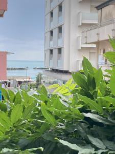 a green plant in front of a building at Serena a due passi dal mare in Bellaria-Igea Marina