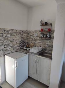 a kitchen with a white refrigerator and a sink at Villa DIJA in Kruševo
