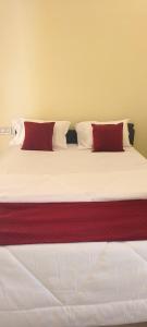 a bed with two red and white pillows on it at Rk comforts & lodge in Madhugiri