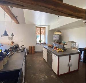 a large kitchen with a counter top and a sink at La Ferme Bugiste - Maison de caractère in Belley +11 photos