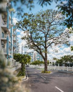 a tree in a parking lot next to a building at Rizz Santorini Apartment in Negombo