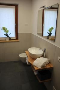 a bathroom with a sink and a toilet and two windows at Il giardino in campagna in Seren del Grappa +33 photos