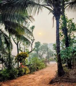 a dirt road with a palm tree and flowers at Ammavvana Kutira Home stay in Madikeri