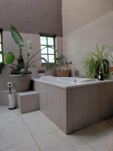 a bathroom with a tub and potted plants at Heritage View Birding Retreat in Delareyville +53 photos
