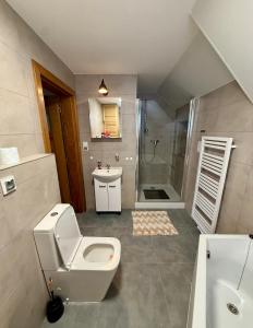 a bathroom with a toilet and a sink and a shower at Peter House in Nowy Targ +16 photos