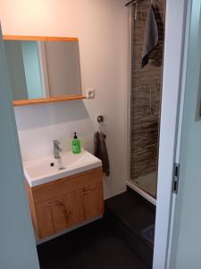 a bathroom with a sink and a shower at Anderer Apartment 2 in Liedolsheim