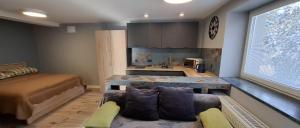 a bedroom with a bed and a kitchen with a counter at Noclegi pod Brzegiem in Zawoja