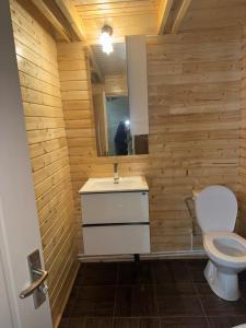 a bathroom with a toilet and a sink and a mirror at Roua Munților in Dârlești +16 photos