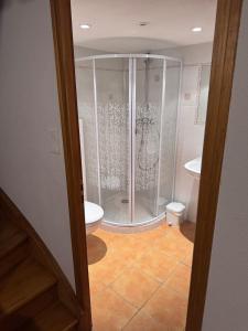 a bathroom with a shower and a toilet at Le relais de Lustrande in Brezons +8 photos