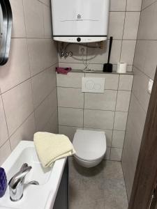 a small bathroom with a toilet and a sink at Apartman pri kostole in Krásno nad Kysucou +2 photos