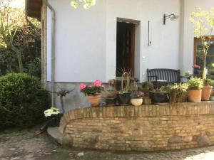 a bunch of potted plants sitting on a brick wall at Sommerhof im Havelland in Nennhausen