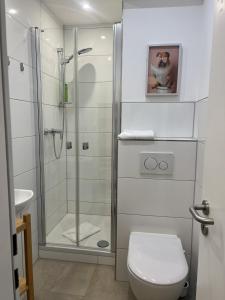 a bathroom with a shower and a toilet at Bella Vista Studio-Appartement in Bad Rothenfelde +2 photos