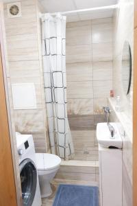 a bathroom with a toilet and a sink and a washing machine at Apartmán Levice in Levice