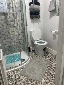 a bathroom with a shower with a toilet and a rug at OMalleys Town House in Buncrana +7 photos