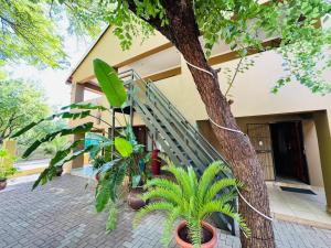 a house with a staircase next to a tree at Echo Mountain Inn in Thabazimbi