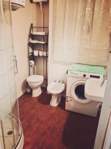 ein Badezimmer mit Waschmaschine und Toilette in der Unterkunft Rifugio del benessere in Monte Compatri + 17 Fotos
