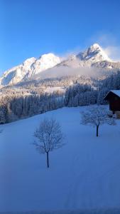 two trees in the snow in front of a mountain at Frische Bergluft und ländlicher Charme - Ihr aktiver Urlaub am Mühlauhof in Mühlbach