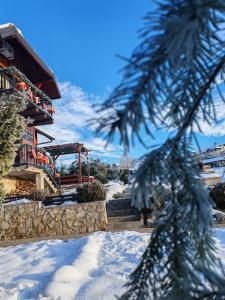a building in the snow with a christmas tree at Rustic dream MIA in Zlatibor