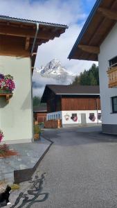 a cat sitting in front of a building with a mountain at Frische Bergluft und ländlicher Charme - Ihr aktiver Urlaub am Mühlauhof in Mühlbach