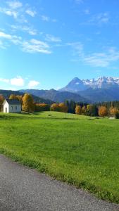 a field of green grass with mountains in the background at Frische Bergluft und ländlicher Charme - Ihr aktiver Urlaub am Mühlauhof in Mühlbach