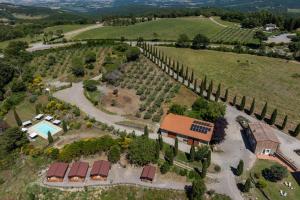 an aerial view of a vineyard with trees and a building at Agriturismo e Maneggio Poggio Leone in Gambassi Terme +86 photos