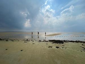 a group of people walking on the beach at Wilder Klaus in Wangerooge
