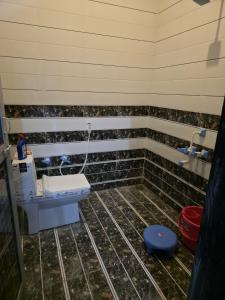 a bathroom with a sink and a toilet at Red diamond palace in Sīkar