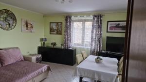 a bedroom with a bed and a table and a television at Apartma PANORAMA in Marezige