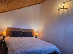 a bedroom with a bed with a blue comforter at Vila Boutique Cozy in Nucşoara