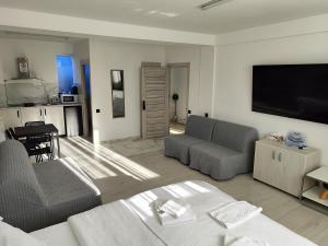 a living room with a couch and a flat screen tv at Max Night Dreams in Bucharest
