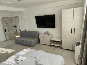 a bedroom with a bed and a tv and a chair at Max Night Dreams in Bucharest