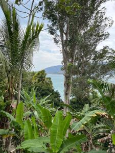 a view of the ocean from a jungle with palm trees at Canto do Cururuá - IlhaBela in Ilhabela