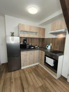 a kitchen with wooden cabinets and a stainless steel refrigerator at Kralovak in Králŭv Dvŭr