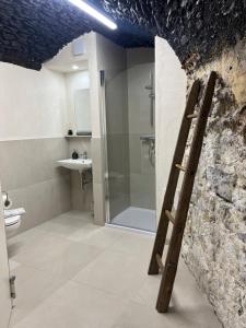 a bathroom with a walk in shower and a ladder at Binter Haus -Rattendorf in Rattendorf +61 photos