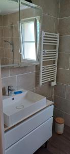 a bathroom with a white sink and a mirror at Gite de l'artiste in Fay-les-Étangs