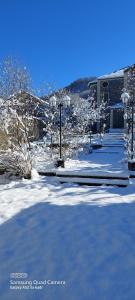 a snow covered yard with trees and a building at Villa Qeçreş in Quba +5 photos