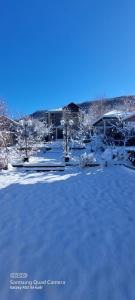 a snow covered yard with trees and a building at Villa Qeçreş in Quba