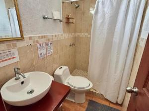 a bathroom with a sink and a toilet and a shower at Hotel & Restaurant Fleur de Lis in Concepción de Ataco