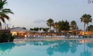 a large swimming pool with white chairs and palm trees at Bien dans le sud in Fréjus