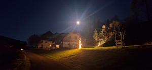 a house lit up at night with a street light at Steinerhof in Sankt Georgen ob Murau