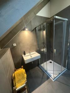a bathroom with a sink and a shower at Apartmán Vališka in Horní Bečva +17 photos