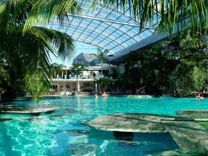 a swimming pool with a turtle in the water at Bucharest Airport Stay & Fly in Otopeni