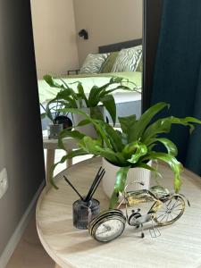 a table with a clock and a plant on it at Apartment central Lier in Lier