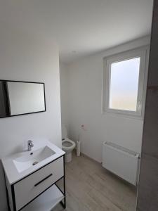 a bathroom with a sink and a toilet and a window at Maison 2 chambres proche circuit 24h et toutes commodités in Arnage
