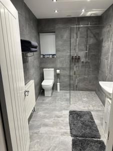 a bathroom with a shower and a toilet and a sink at Riverview Apartment 2 in Matlock +43 photos