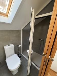 a bathroom with a toilet and a shower at Casa Manuel in Manteigas +15 photos