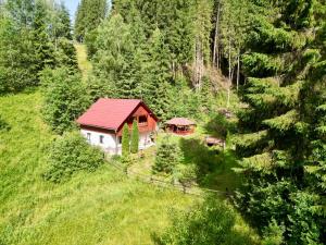 an aerial view of a house in a forest at Cabana SVA Bilbor in Bilbor